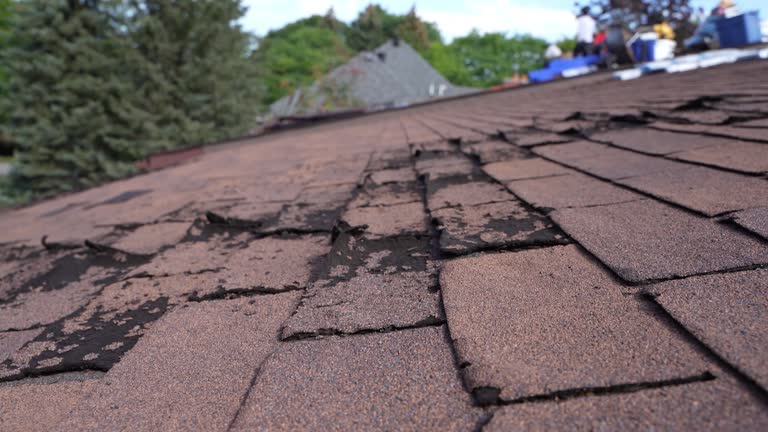 Best Roof Insulation Installation  in Miramar, FL
